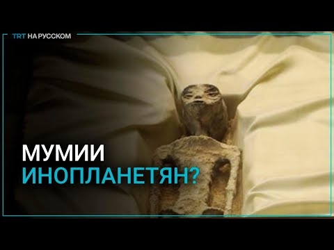 Видео: Мексиканский уфолог показал конгрессу мумифицированные останки инопланетян