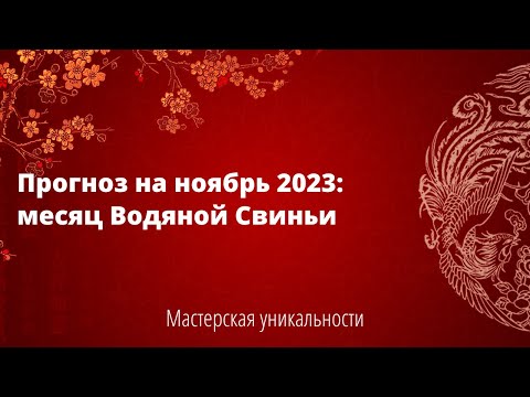 Видео: Прогноз на ноябрь 2023: месяц Водяной Свиньи