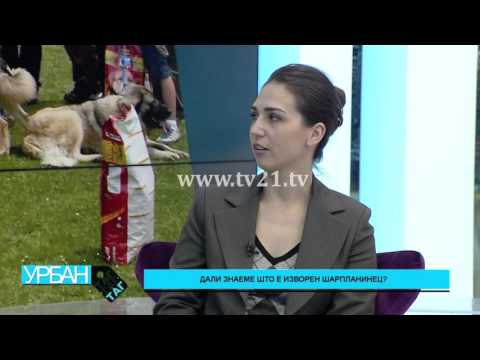 Видео: Урбан Таг - Владимир Секуловски и Катерина Атанасовска 10.03.2016