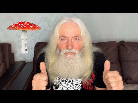 Видео: МУХОМОР КАК ЛЕКАРСТВО: мои рекомендации