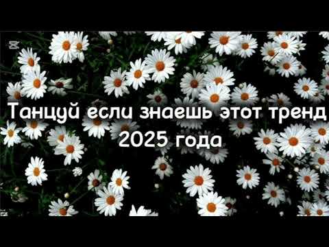 Видео: Танцуй если знаешь 2025 года