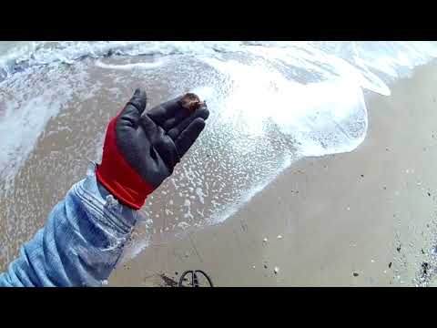 Видео: Я редко здесь не нахожу ЗОЛОТО и СЕРЕБРО, просто нужно нагнуться и поднять! Поиск с металлоискателем