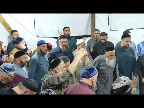 Видео: Хьамзат Зелим х1усмехь. 19.08.2022. п.Карпинка