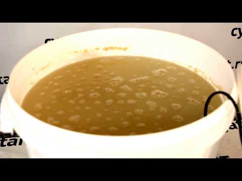 Видео: Тест № 3: Сухие активные дрожжи Пакмайя Кристалл. Сахарная брага