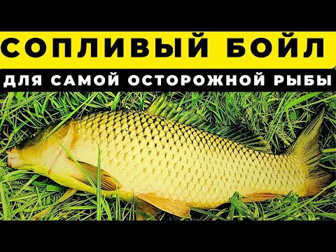 Видео: И почему эта шикарная идея не пришла раньше СОПЛИВЫЙ БОЙЛ