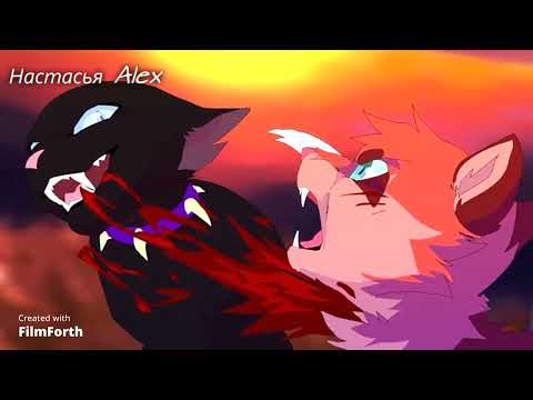 Видео: Коты воители клип Бич коматоз