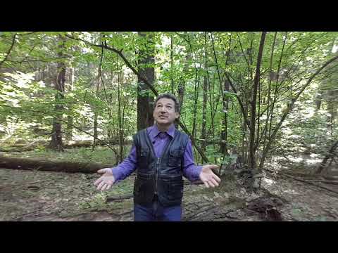 Видео: Как открываются сверхспособности? Стоит ли их открывать? Таро.(часть3)