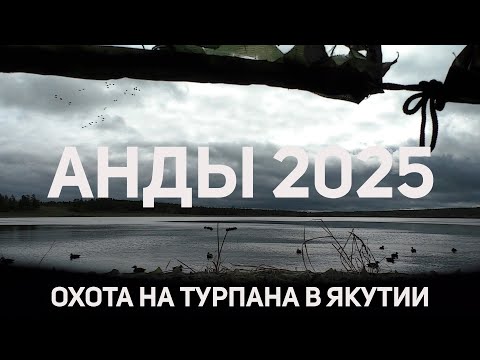 Видео: АНДЫ 2025 / ОХОТА НА ТУРПАНА в ЯКУТИИ