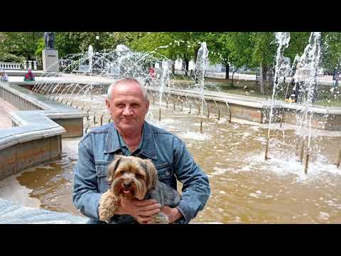 Видео: Дорога без конца