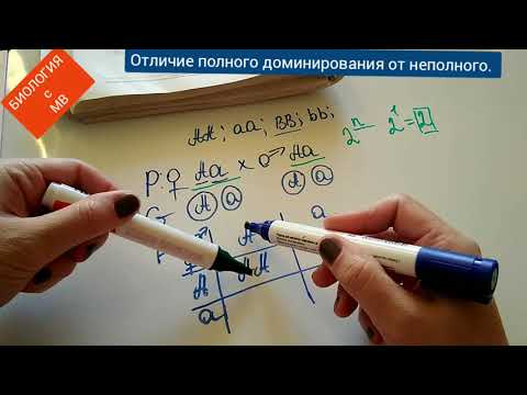 Видео: Отличие полного доминирования от неполного с решением задачи из ЕГЭ.