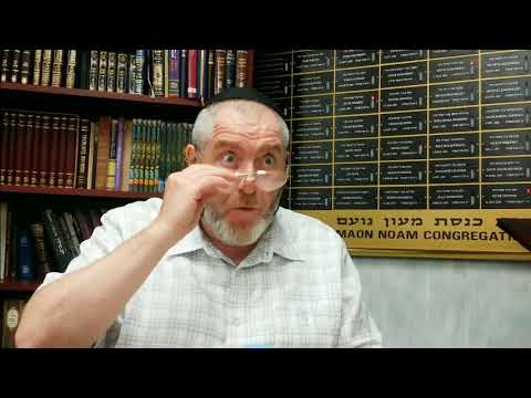 Видео: А.Крупник Кружок р.Шешета Тракат Ораёт урок 2