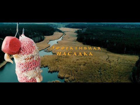 Видео: Карпфишинг 2023 Открытие сезона по холодной воде.