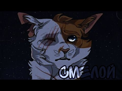 Видео: коты воители Яролика /смелой/ клип (простите за водяной знак,произошли  технические шоколадки)