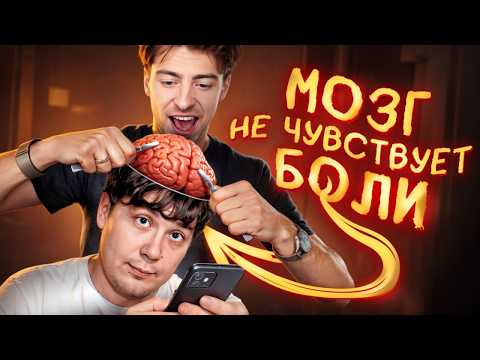 Видео: ФАКТЫ ОТ КОТОРЫХ МЫ БЫЛИ В ШОКЕ!