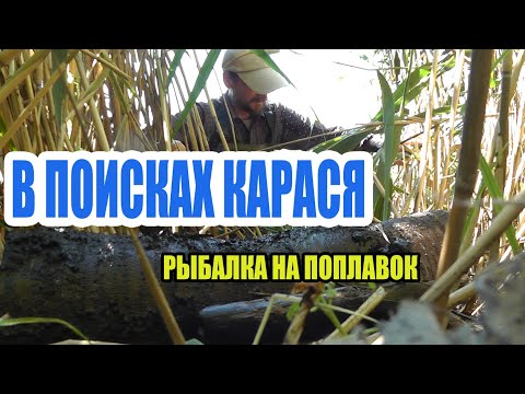 Видео: Рыбалка на поплавок в поисках карася на речке Саксагань