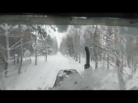 Видео: На МТЗ-80 в лес, снегопад! On the MTZ-80 tractor into the forest in a snowfall