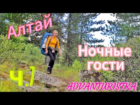 Видео: Мультинские озёра. ч.7. Ночные гости...озеро Кыргыз, река Акчан