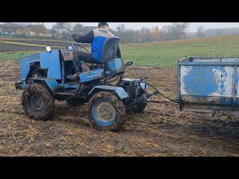 Видео: Вносимо органічні добрива#вожу гній# 9 листопада 2025 р.