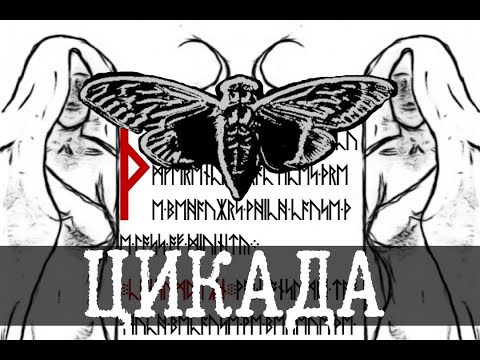 Видео: Все загадки Cicada/Цикада 3301