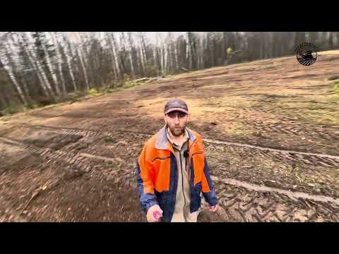 Видео: Финал работ по расчистке заросшего участка 