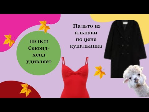 Видео: Секонд: ВСЁ ИЗ ШЁЛКА - блузы, бельё, платки и даже целый костюм!Пальто из альпаки по цене купальника