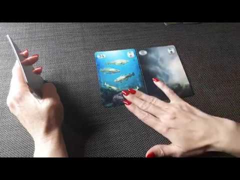 Видео: ТУЧИ, Оракул Ленорман. Сочетание с другими картами.