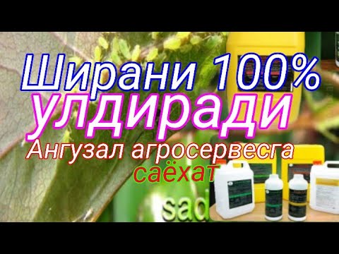 Видео: Ширага карши супер биоинсектицид. Эффекти 100 %