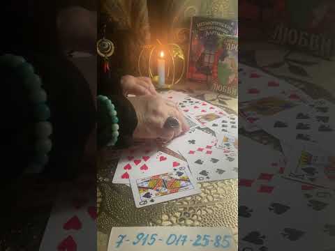 Видео: Его выходные⁉️Где и с кем он….⁉️⁉️⁉️🔮🪬🧿🤷‍♀️🔥💣☝️