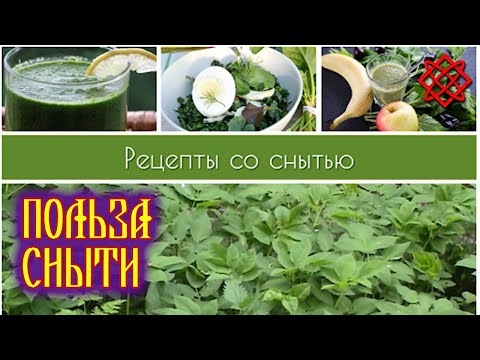 Видео: Невероятная польза сныти. Рецепты из сныти