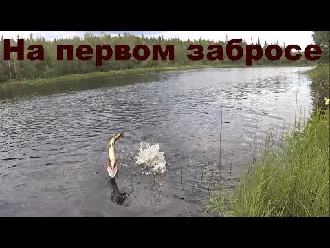 Видео: Рыбалка на Спиннинг  Июль 2022