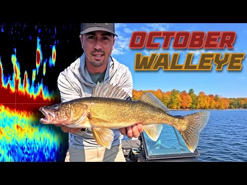 Видео: 5 лучших советов по ловле судака в октябре (хитрые советы для успеха)