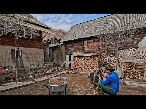 Видео: Жизнь в Карпатах: Весна в деревне - Кулинария