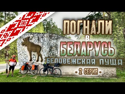 Видео: Погнали в Беларусь 2 серия (Беловежская пуща-Свислочь)