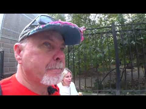 Видео: Пятая колонна не сдается !