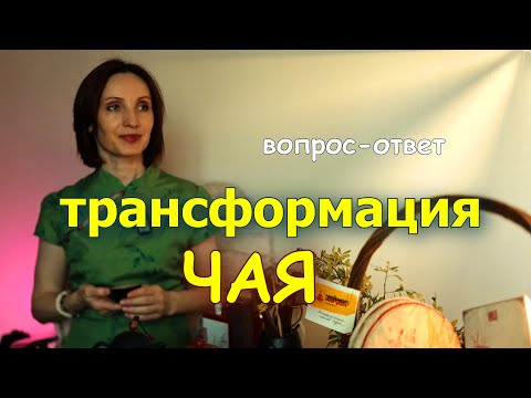 Видео: Как погода влияет на чайный лист. Ци чайного листа: жара и влажность. Рубрика вопрос-ответ
