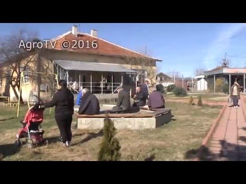Видео: Проблемни поземлени отношения в с. Цар Асен