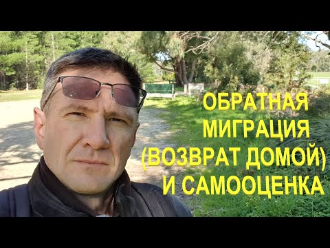 Видео: Реверсивная Миграция (Возврат Домой) и Самооценка
