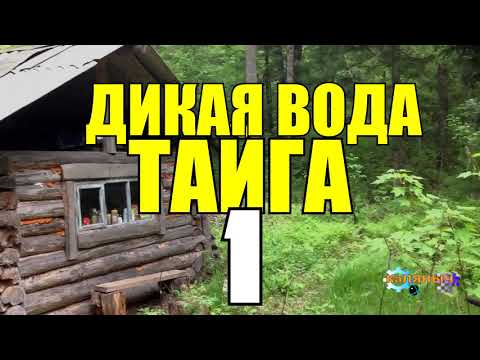 Видео: ПРОМЫСЕЛ В ТАЙГЕ | ЛЕДОХОД СПЛАВ ПО РЕКЕ | ПЕРВЫЙ УДАЧНЫЙ ВЫСТРЕЛ | СУДЬБА ЧЕЛОВЕКА 1
