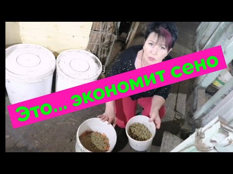 Видео: Деньги на пол не кидаю. Это... экономит сено.