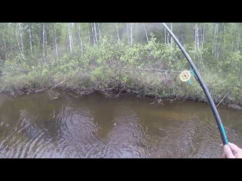 Видео: Первая рыбалка на хариуса в 2022 году летом