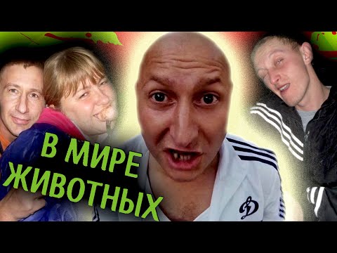 Видео: БЫДЛО в ПОДЪЕЗДАХ и ЛИФТАХ [ ЖИВОТНЫЕ НЕ МОГУТ ЖИТЬ как ЛЮДИ...]