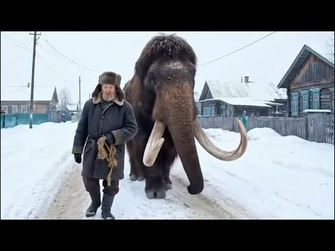 Видео: Я ржал до слез 😂 30 Минут смеха 2025 Смешные видео Лучшие Лютые ПРИКОЛЫ Июль!Подборка #227