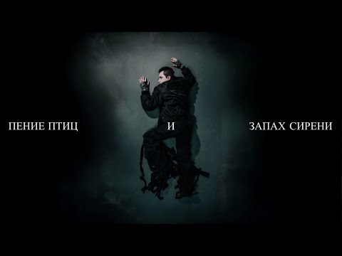 Видео: Исаков - ПЕНИЕ ПТИЦ И ЗАПАХ СИРЕНИ (Official Lyric Video)