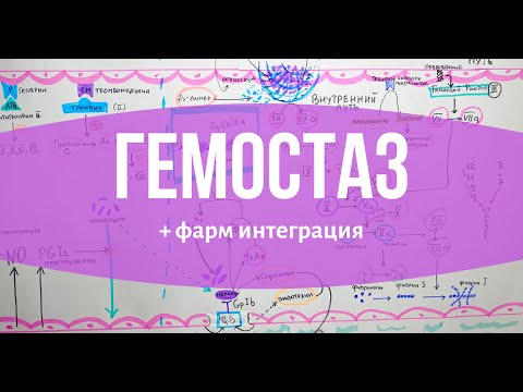 Видео: ГЕМОСТАЗ за 15 минут // + интеграция с фармакологией