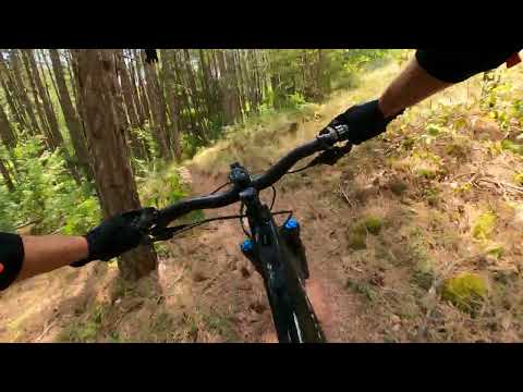 Видео: Сефтето на Левото из сууухите Подгумерски пътеки # Specialized Turbo Levo 3 + GoPro 9 