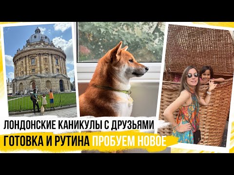 Видео: ВЛОГ: ПРОБУЕМ НОВОЕ В ЛОНДОНЕ И НЕ ТОЛЬКО 