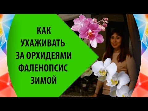 Видео: Как ухаживать за орхидеями фаленопсис зимой