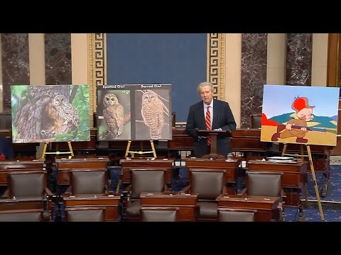 Видео: Кеннеди: Министерство внутренних дел разработало программу DEI для сов