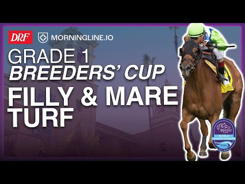 Видео: Кубок заводчиков 1-го класса, кобылы и кобылы, Turf | 1 ноября 2025 г.