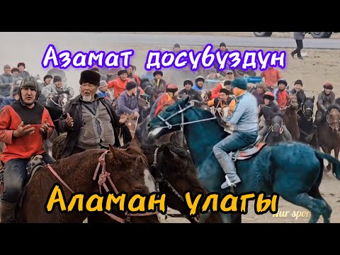 Видео: Азамат досубуз берген аламан улактын 2-бөлүмү.Аксы району Өлөн-Булак айылы